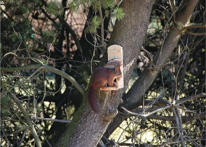 Vandflodvej Ii Nyaraló