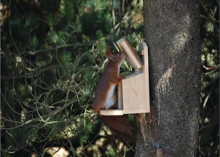 Vandflodvej Ii Nyaraló Blåvand